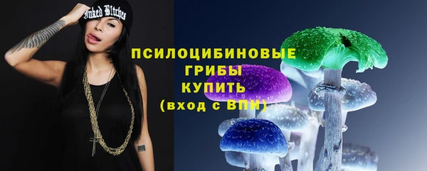 хмурый Надым