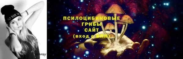 хмурый Надым