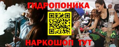 твердый Гатчина