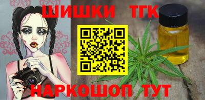 твердый Гатчина