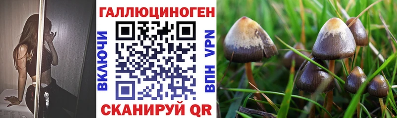 гидра вход  где купить наркотик  Семилуки  Галлюциногенные грибы ЛСД 