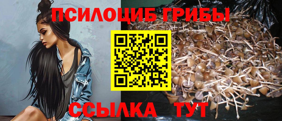 Галлюциногенные грибы мицелий Семилуки