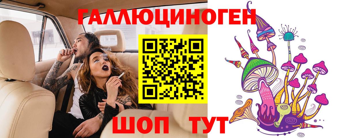 Галлюциногенные грибы Psilocybe  закладки  Семилуки 