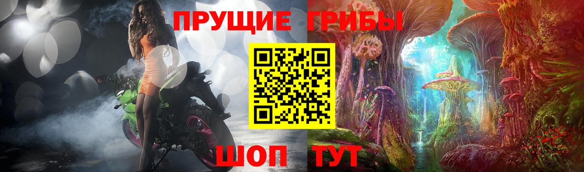 Галлюциногенные грибы мицелий  Псилоцибиновые грибы GOLDEN TEACHER  Семилуки  купить   Вход с VPN 